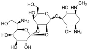 Hygromycin B from Streptomyces hygroscopicus, powder, BioReagent, suitable for cell culture, suitable for insect cell culture