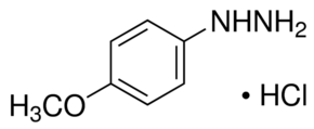 4-Methoxyphenylhydrazine hydrochloride, 95%