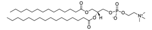 850445P-25MG