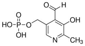Pyridoxal 5'-phosphate hydrate, powder, BioReagent, suitable for cell culture