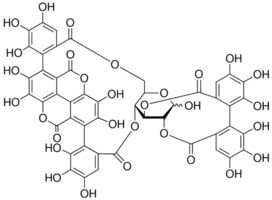 Punicalagin (A + B mixture), phyproof(R) Reference Substance