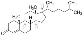 (+)-4-Cholesten-3-one, 98%