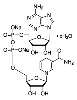 ß-Nicotinamide adenine dinucleotide 100