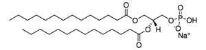 830845P-25MG