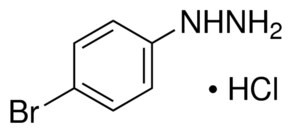 4-Bromophenylhydrazine hydrochloride, 99%