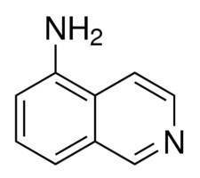 5-Aminoisoquinoline, 99%