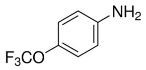 4-(Trifluoromethoxy)aniline, 98%