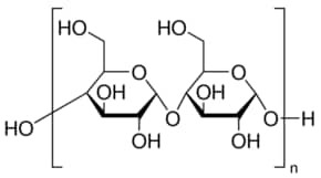 Starch from rice