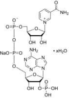 beta-Nicotinamide adenine dinucleotide phosphate sodium salt hydrate