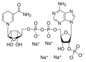 ß-Nicotinamide adenine dinucleotide 2'-