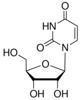 Uridine, powder, BioReagent, suitable for cell culture