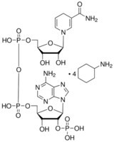 ß-Nicotinamide adenine dinucleotide 25MG