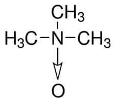 Trimethylamine N-oxide, 95%