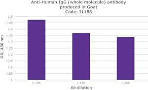 Anti-Human IgG (whole molecule) antibody produced in goat, IgG fraction of antiserum, buffered aqueous solution