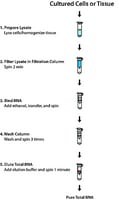 GenElute(TM) Mammalian Total RNA Miniprep Kit, sufficient for 70 purifications
