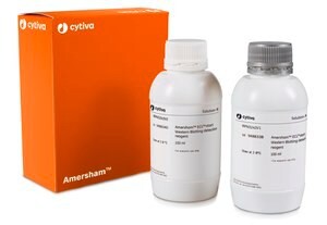 ECL(TM) Start Western Blotting Detection Reagent, Cytiva, RPN3243, pkg of 200 mL