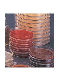 TRYPTONE SOYA AGAR CF 20 DIAM.PIASTRA MM. 60