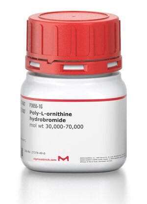 Poly-L-ornithine hydrobromide, mol wt 30,000-70,000