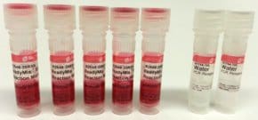 REDTaq(R) ReadyMix(TM) PCR Reaction Mix, Complete PCR reagent with standard Taq DNA Polymerase and inert dye