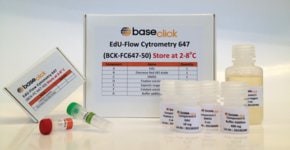 EdU Flow Cytometry Kit 488, sufficient for 100 assays