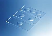 Vetrino portaoggetto con 1 cella