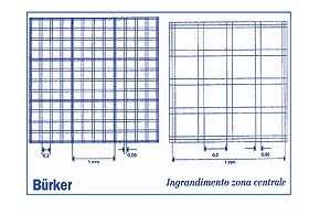 Camera contaglobuli di Burker Bright-line con pinze