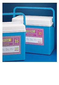 FRIGO BOX 25 LITRI PS