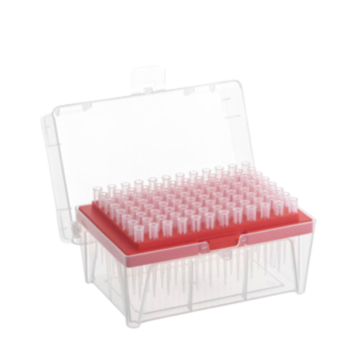 SAPPHIRE FILTER TIP 20ul RACK-S 960 PZ    GREINER (773353)